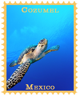 Best of Cozumel Gallery