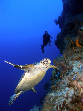 Cozumel