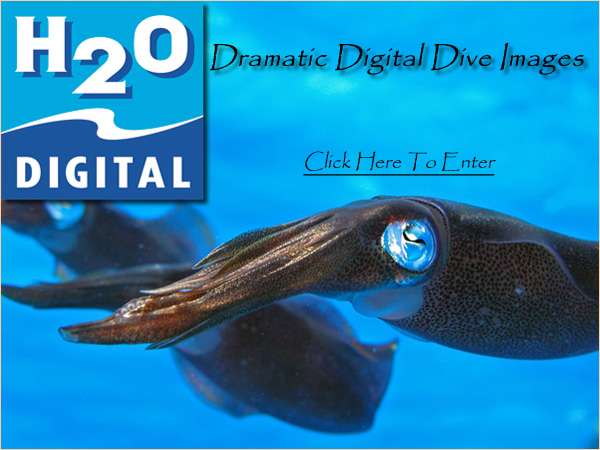 Come inside and visit H2O Digital
